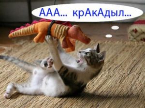 �������� ������������� ���������